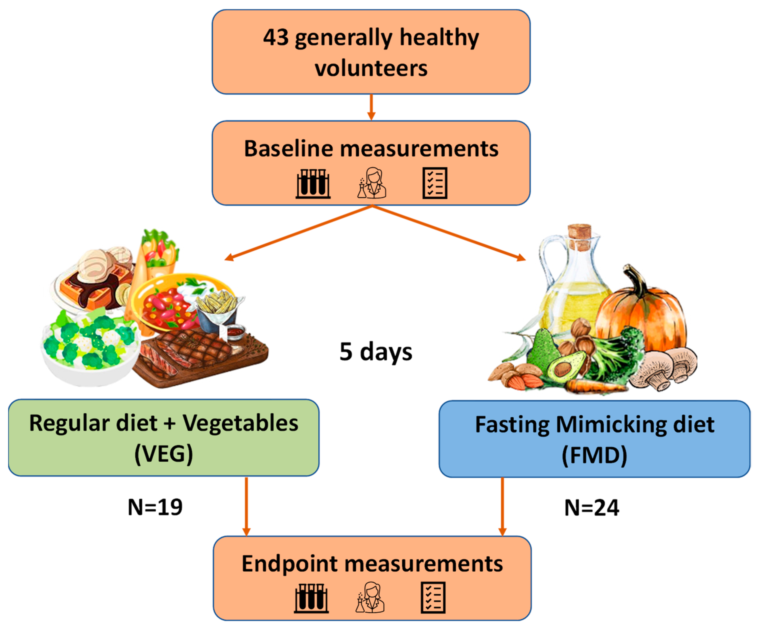 Fasting Mimicing Diet Fasting Mimicing Diet